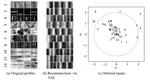 Toward a Better Monitoring Statistic for Profile Monitoring via Variational Autoencoders